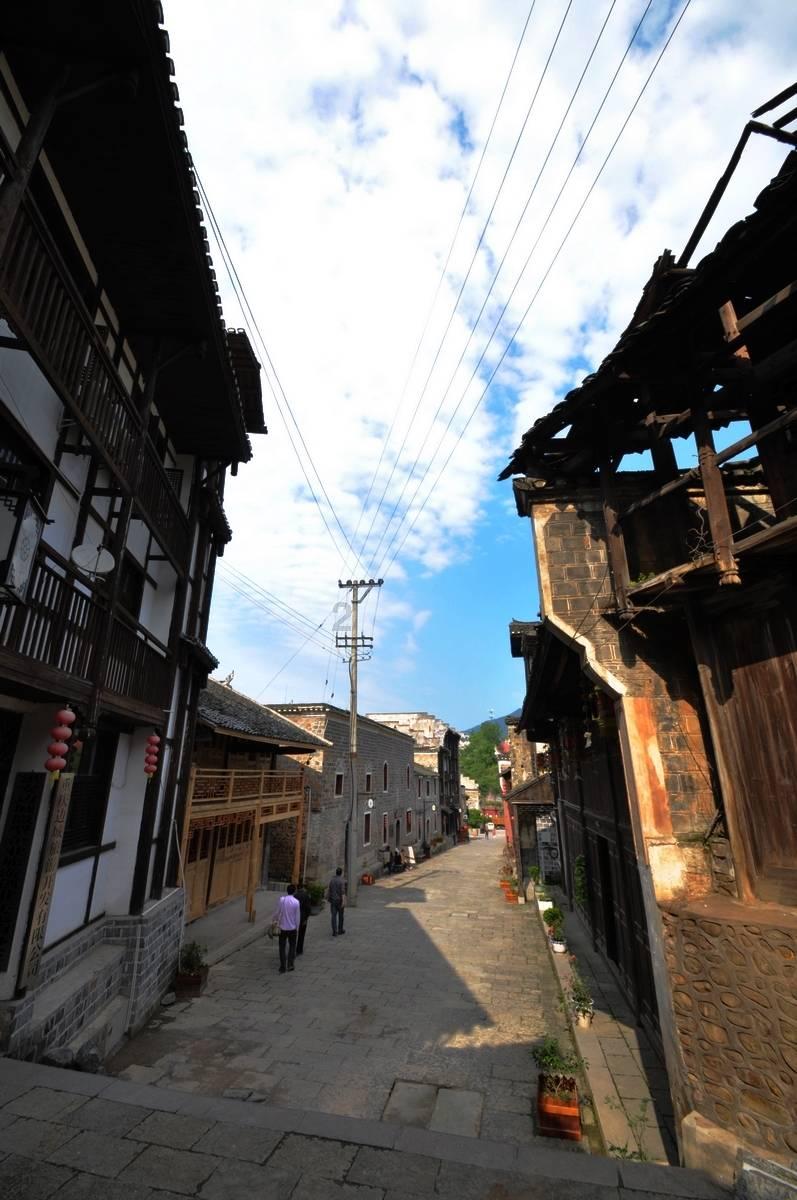 逃出猫头鹰岛